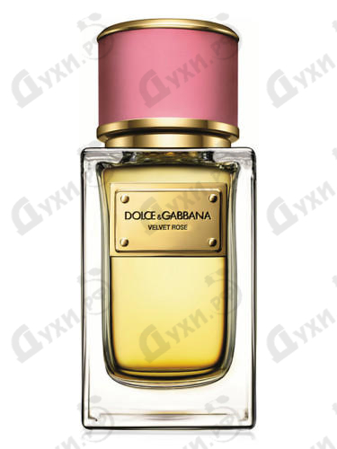 Купить Velvet Rose от Dolce & Gabbana