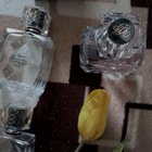 Отзыв Agent Provocateur Fatale Pink