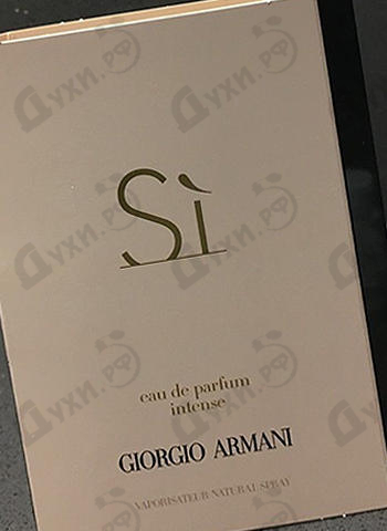 Парфюмерия Si Intense от Giorgio Armani Отзывы Giorgio Armani Si Intense