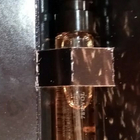 Отзыв Pierre Balmain Extatic