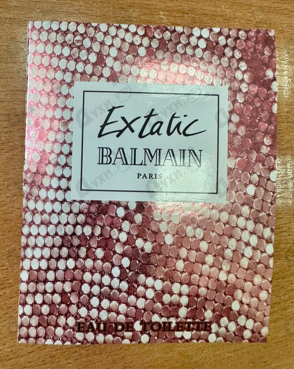 Купить Extatic от Pierre Balmain