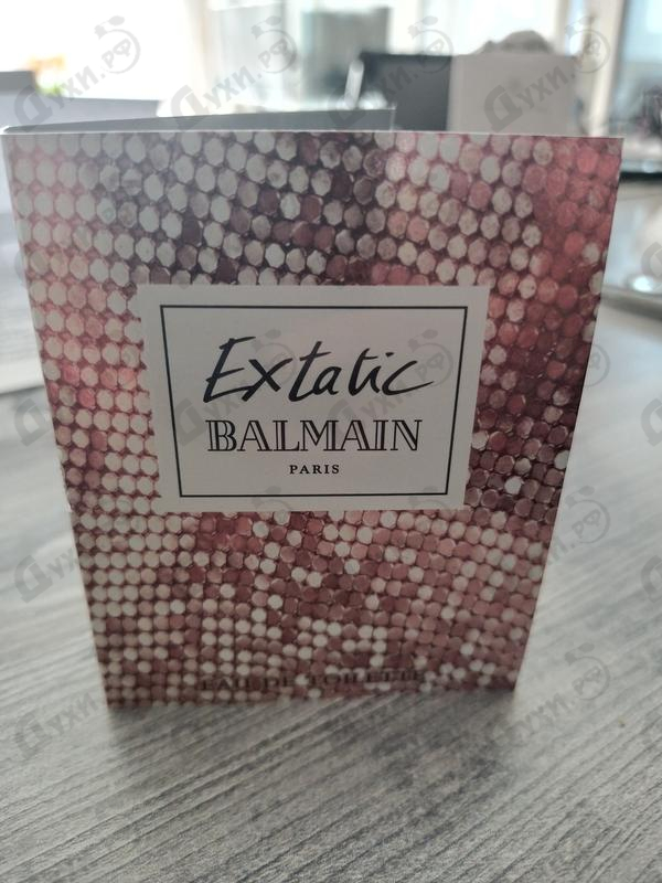 Купить Extatic от Pierre Balmain