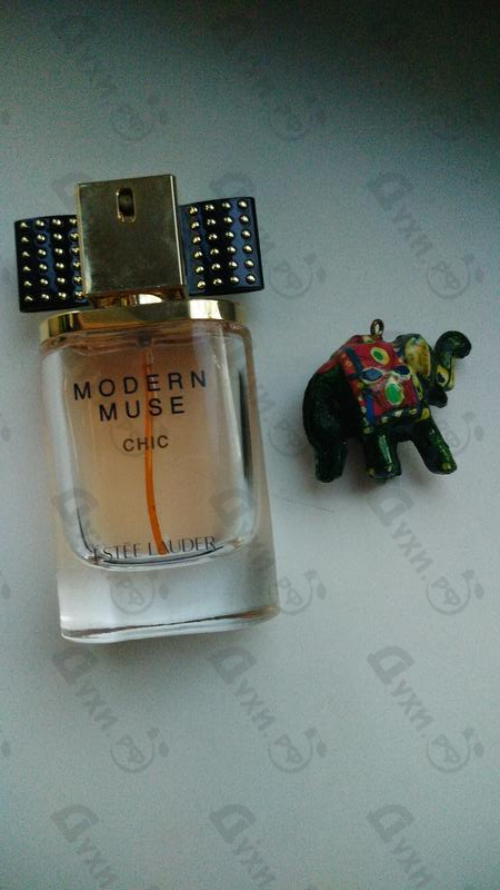 Купить Modern Muse Chic от Estee Lauder