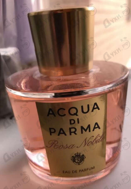 Отзывы Acqua Di Parma Rosa Nobile