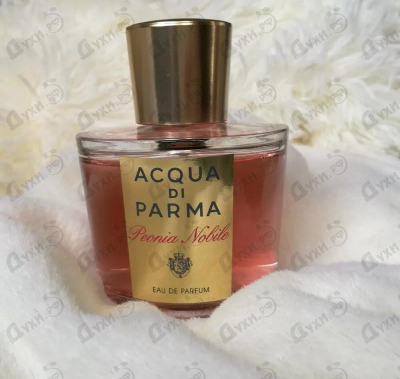 Парфюмерия Rosa Nobile от Acqua Di Parma