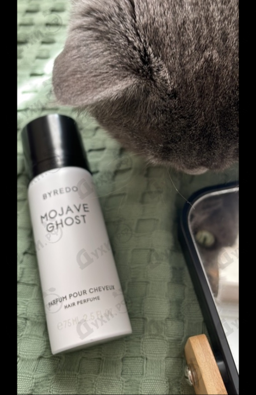 Отзывы Byredo Parfums Mojave Ghost