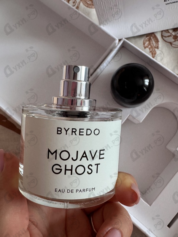 Отзывы Byredo Parfums Mojave Ghost