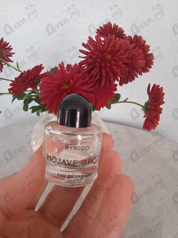 Купить Mojave Ghost от Byredo Parfums