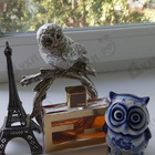 Отзыв Fendi Leather Essence