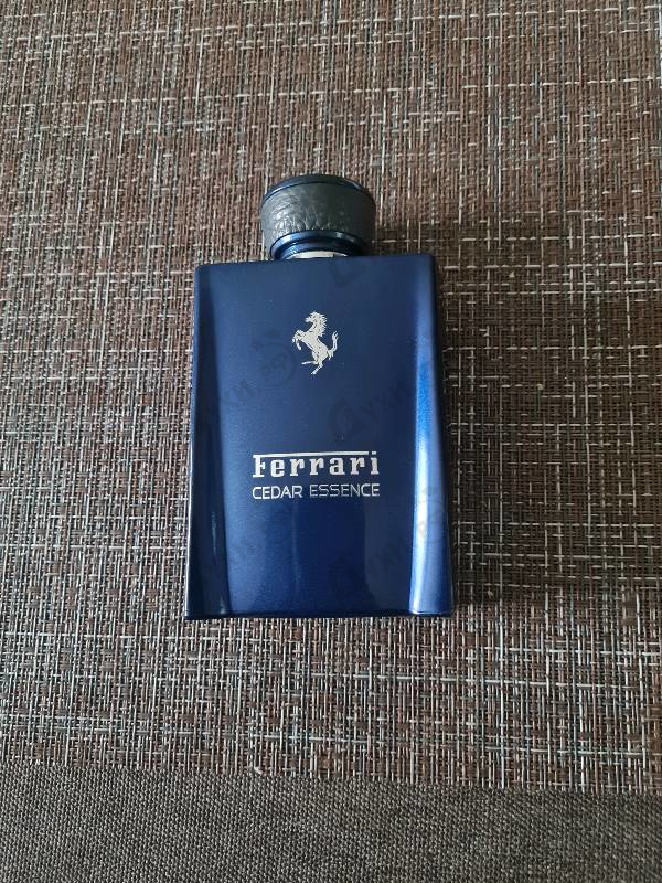 Отзыв Ferrari Cedar Essence