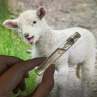 Отзывы Hermes Cuir D'ange