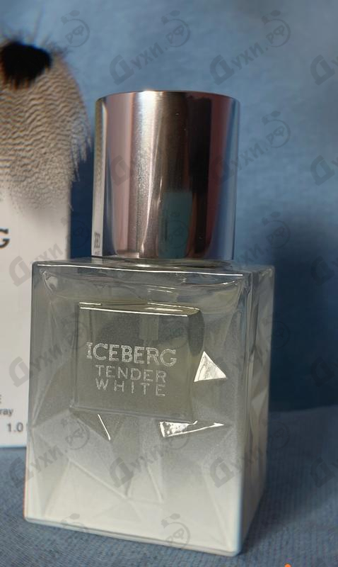 Купить Tender White от Iceberg