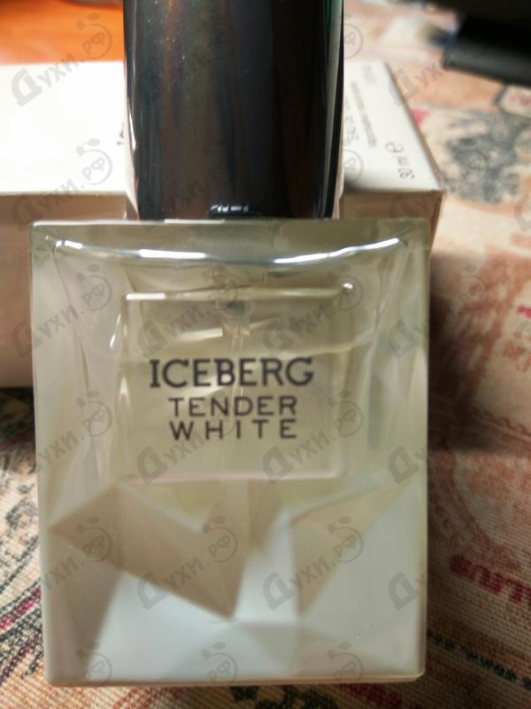 Купить Tender White от Iceberg