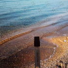 Парфюм Jo Malone Wood Sage & Sea Salt