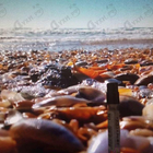 Отзыв Jo Malone Wood Sage & Sea Salt