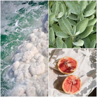 Духи Wood Sage & Sea Salt от Jo Malone