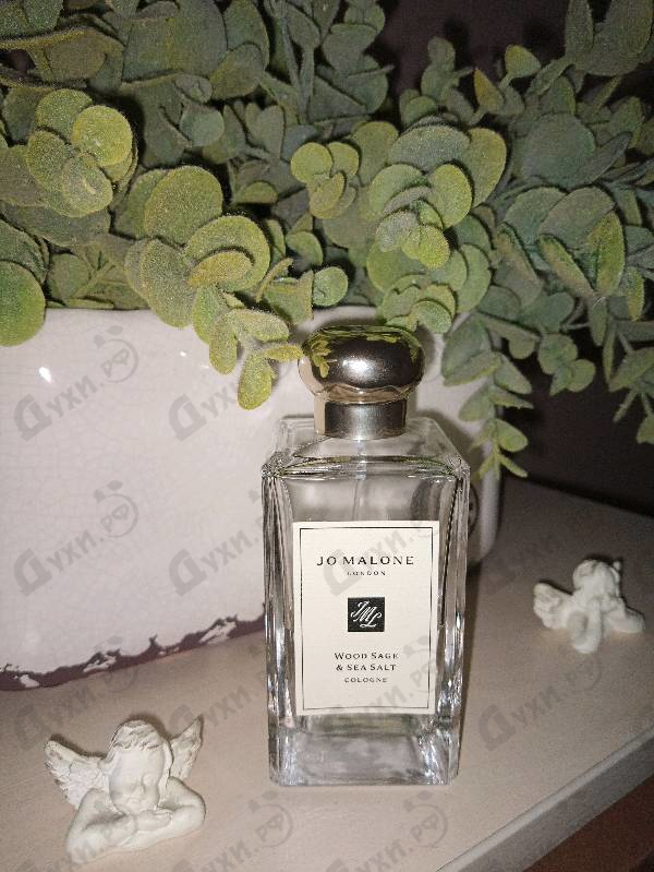 Парфюмерия Wood Sage & Sea Salt от Jo Malone