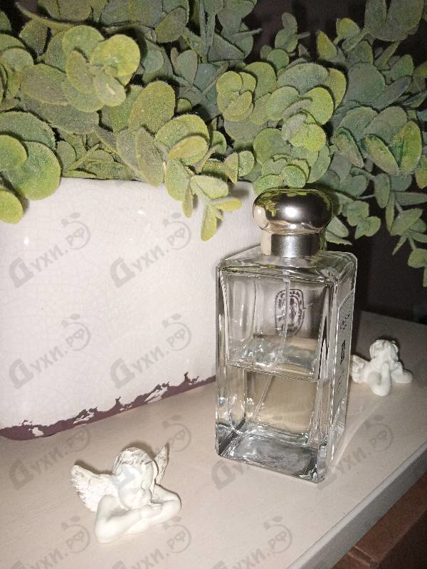 Отзывы Jo Malone Wood Sage & Sea Salt