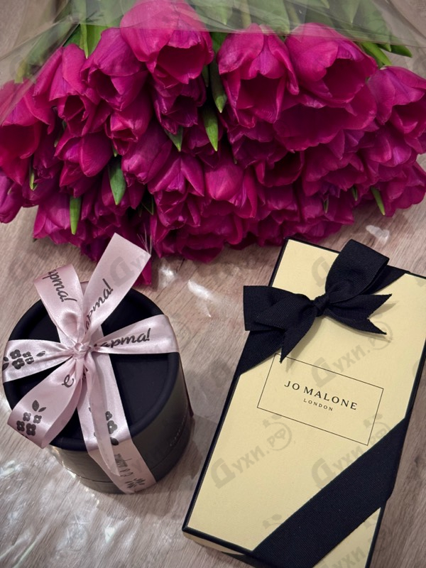 Парфюмерия Wood Sage & Sea Salt от Jo Malone