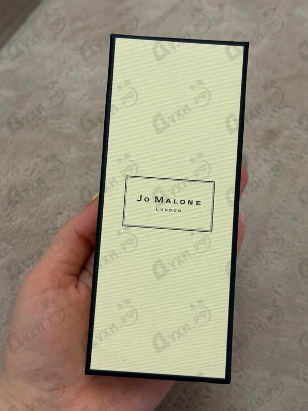 Купить Wood Sage & Sea Salt от Jo Malone