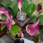 Духи Tresor L'eau De Toilette от Lancome