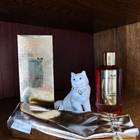 Парфюм Mancera Indian Dream