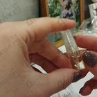 Отзывы Mancera Indian Dream