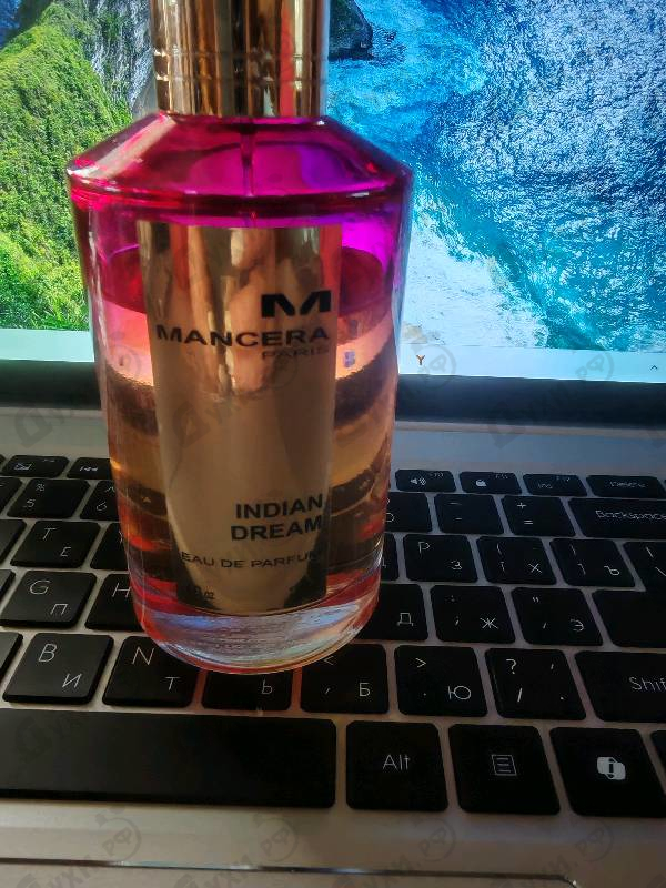 Купить Indian Dream от Mancera