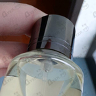 Отзыв Mancera Wind Wood