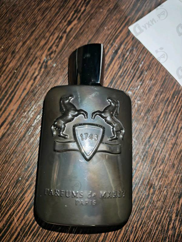 Купить Herod от Parfums de Marly