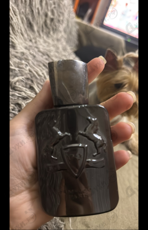 Отзывы Parfums de Marly Herod