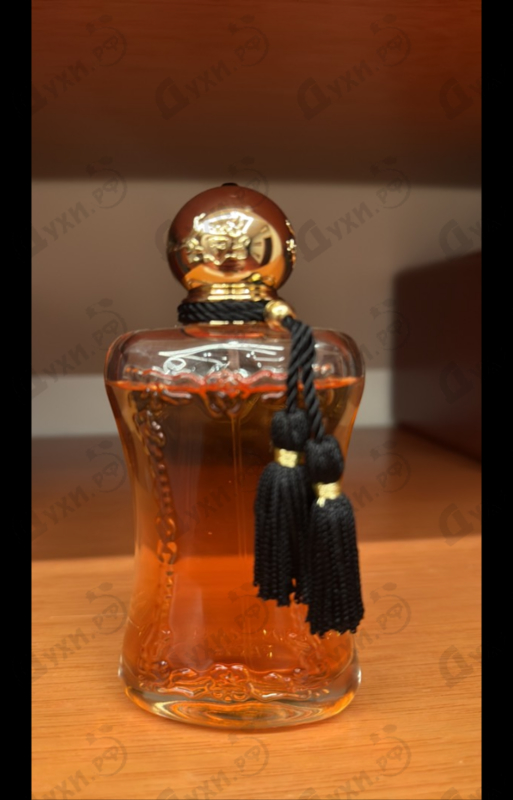 Купить Safanad от Parfums de Marly