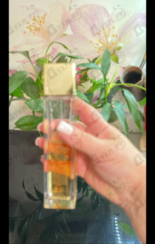 Купить Sexy Amber от Michael Kors