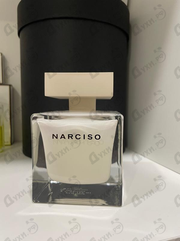 Купить Narciso от Narciso Rodriguez