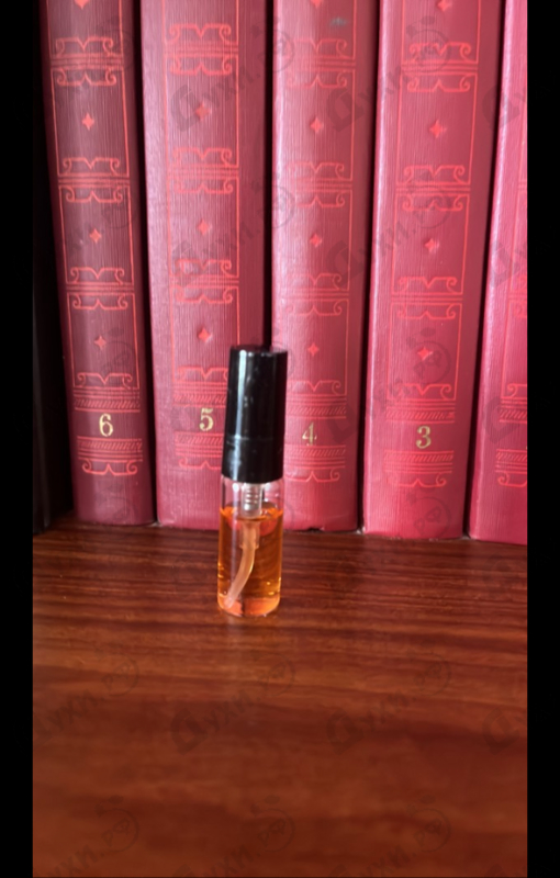 Купить Narciso от Narciso Rodriguez