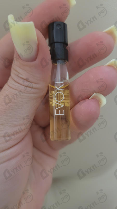 Парфюмерия Evoke от Ajmal