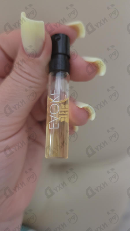 Парфюмерия Evoke от Ajmal