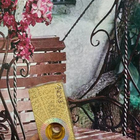 Отзыв Ajmal Evoke