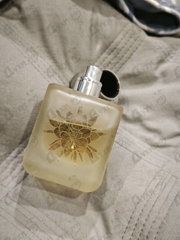 Купить Muse от Rouge Bunny Rouge