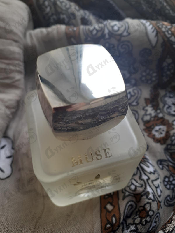 Парфюмерия Rouge Bunny Rouge Muse Духи Muse от Rouge Bunny Rouge