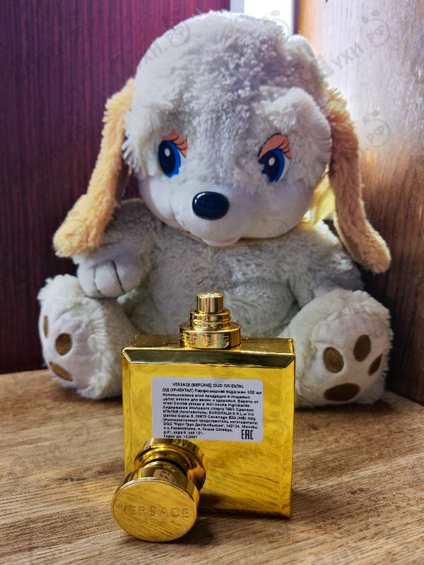 Парфюмерия Oud Oriental от Versace