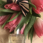 Парфюм Tommy Hilfiger Peach Blossom