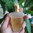 Отзыв Xerjoff Dama Bianca