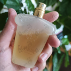 Духи Dama Bianca от Xerjoff