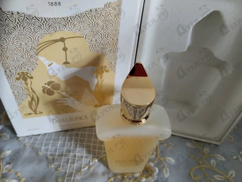 Духи Dama Bianca от Xerjoff