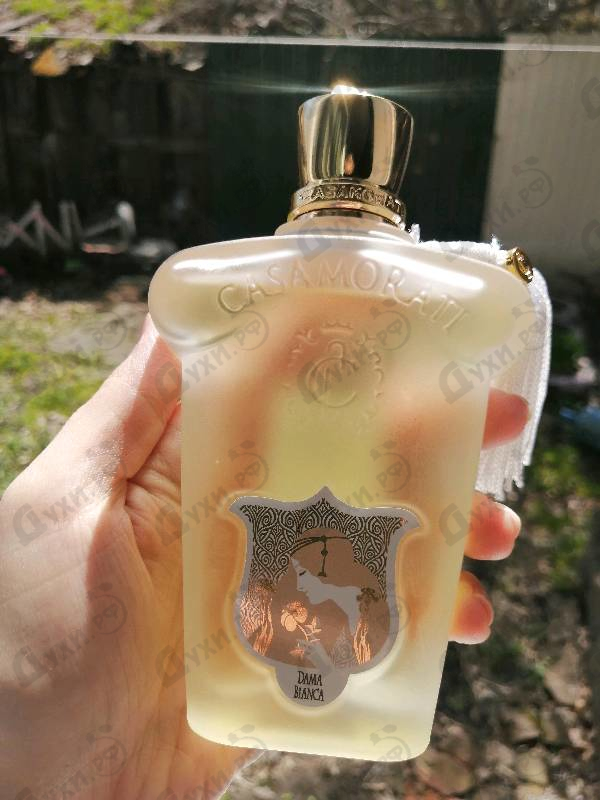 Парфюмерия Dama Bianca от Xerjoff