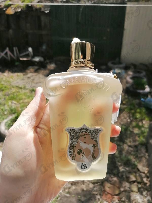 Парфюмерия Xerjoff Dama Bianca