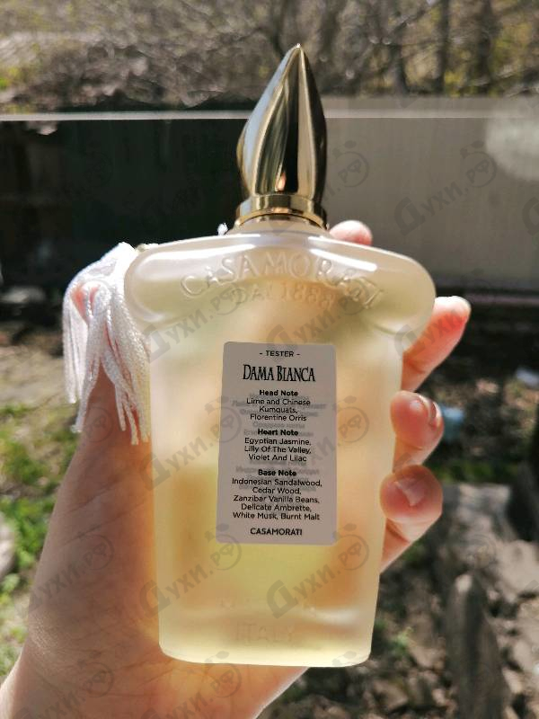 Духи Dama Bianca от Xerjoff