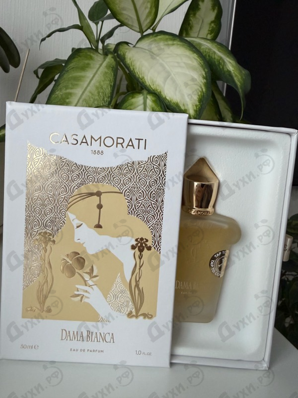Купить Xerjoff Dama Bianca