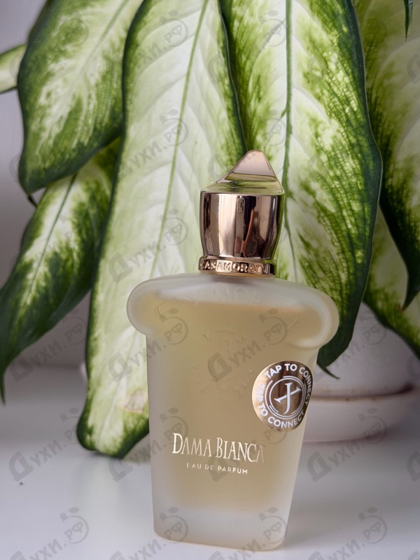 Отзыв Xerjoff Dama Bianca